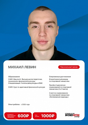 Михаил Левин